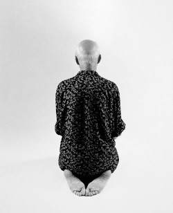 agosto2014_jardinjapones_1