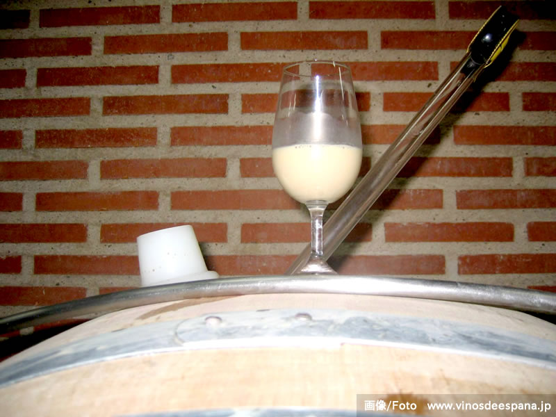 septi2014_wine_10