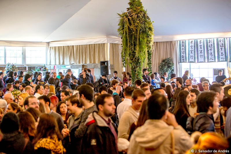 Enero2015_Mochitsuki_09