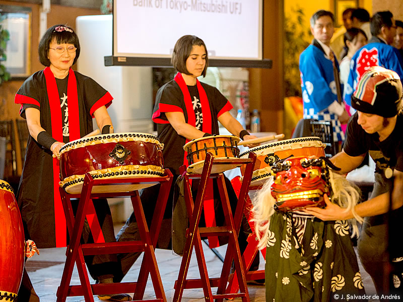 Enero2015_Mochitsuki_13