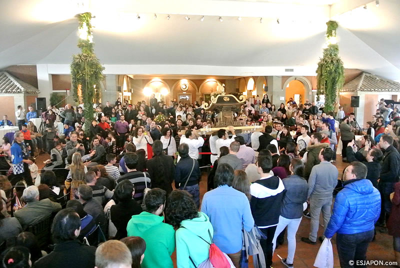 Enero2015_Mochitsuki_29