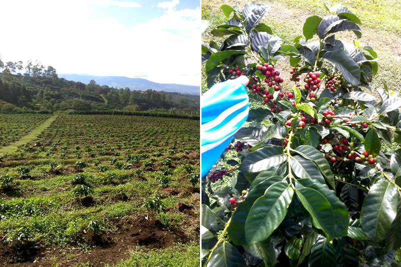 Feb2015TiempoDeDescanso_03