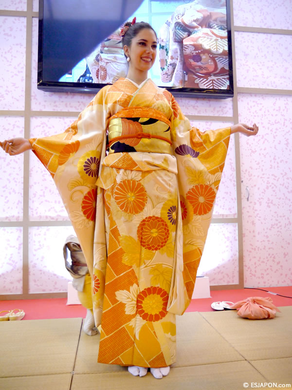 Feb2015_Fitur_MissESP_4