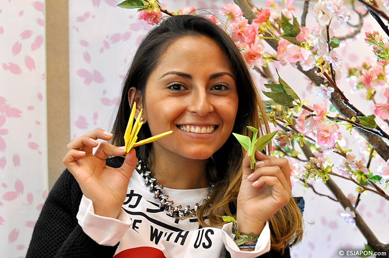 Feb2015_Fitur_Origami_1