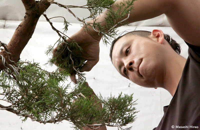 Mar2015_BonsaishiHirao_3