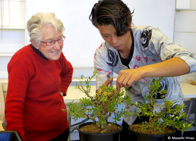 Mar2015_BonsaishiHirao_4