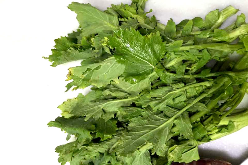 Grelo（グレロ）