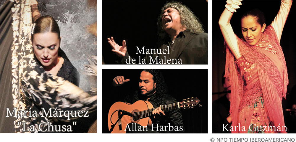 Domingo Ortega Flamenco Show