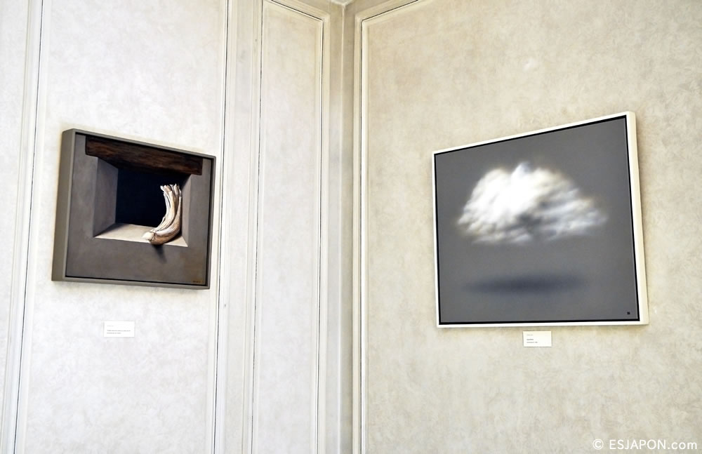 “La Voluntad en la Naturaleza”, el mundo de Teruhiro Ando