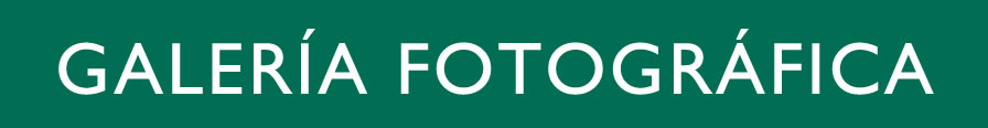 GALERÍA FOTOGRÁFICA