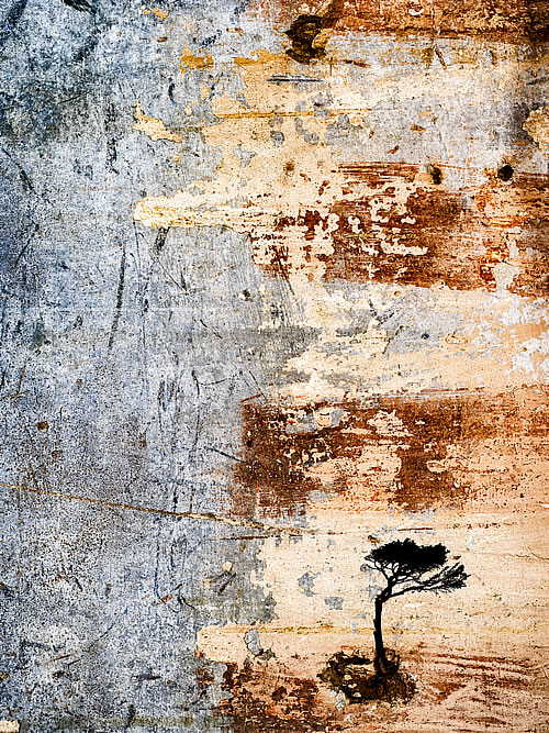 Nov2015esjapon_JordiFornies_3