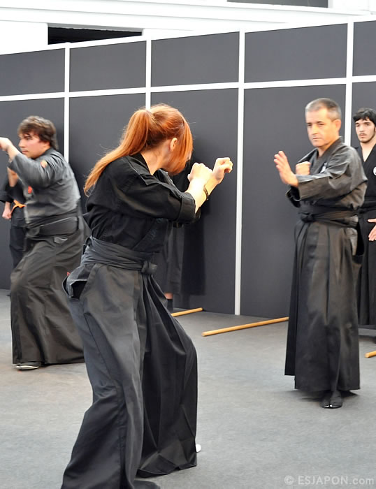 Nov2015esjapon_SMB_G10