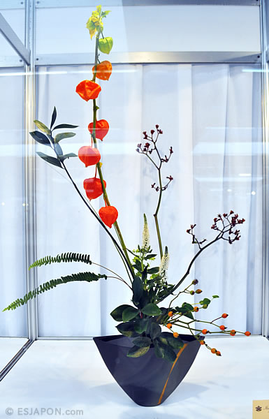 Nov2015esjapon_SMB_G3