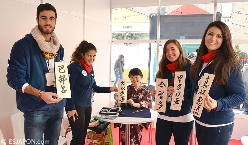 Dec2015esjapon_NaFeInCu_3