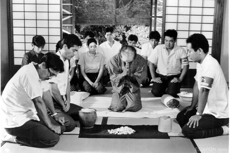 Ene2016esjapon_KanetoS_Sakuratai