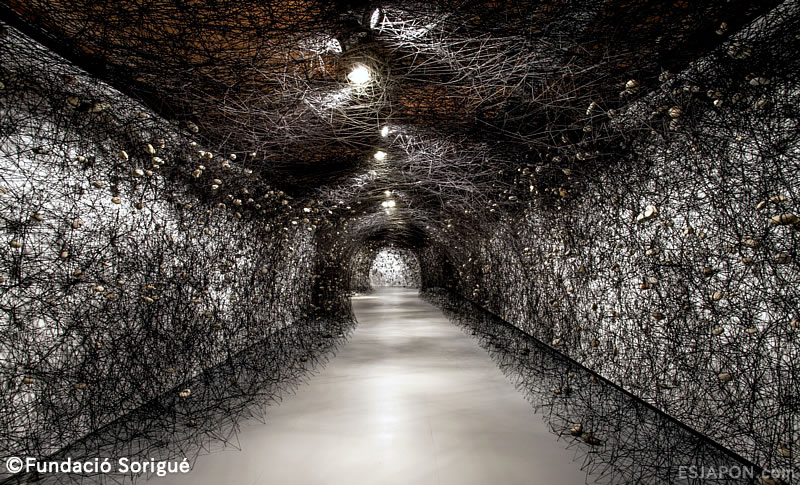 Feb2016esjapon_ChiharuShiota_2