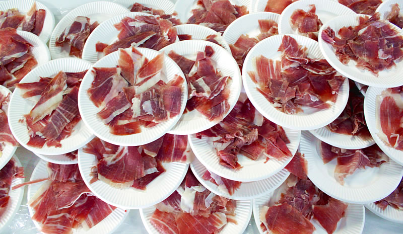 Mayo2016_DíaDelEspañol_02