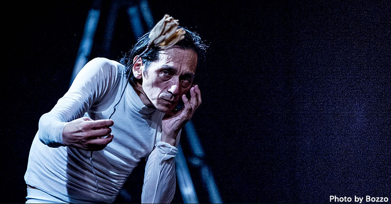 Mayo2016_TakaoKawaguchi_1