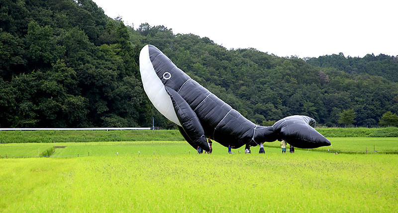 Jun2016_FILMAD_Isanatori