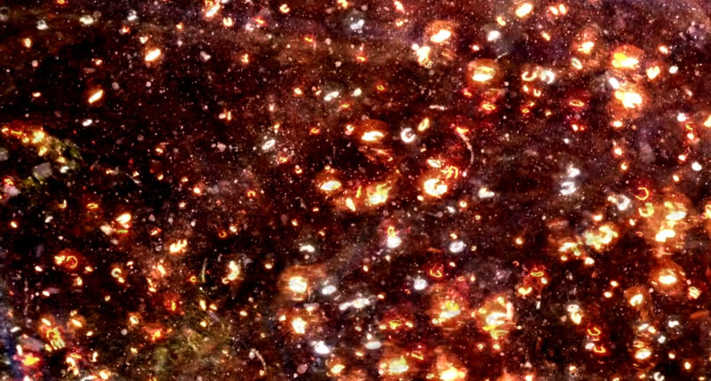 Jun2016_FILMAD_TakashiMakino_2