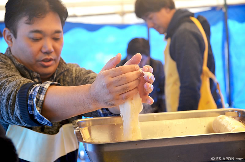 ene2017_fiestamochimadrid_002