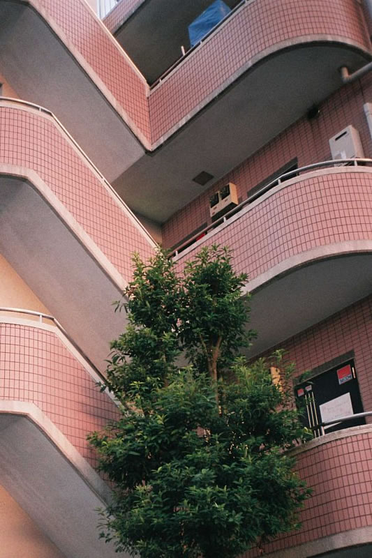 feb2017_expojapon_lauravifer2