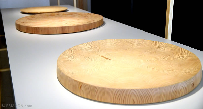 abr2017_loewecraftprize_nakagawa