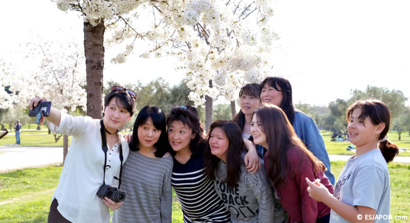 abr2018_concurso-sakura_1