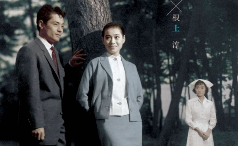 dic2018_yasuzo-masumura_danryu