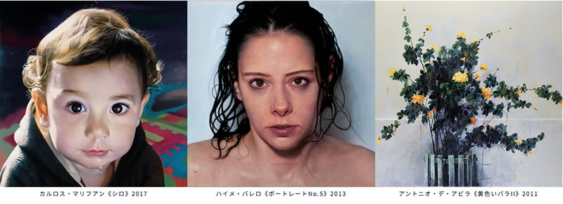 sep2019_hoki_meam_01