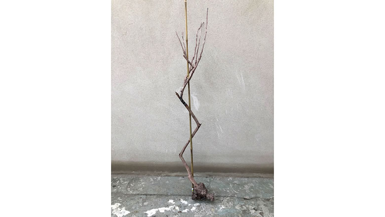 oct2019_fernandosanchezcastillo2