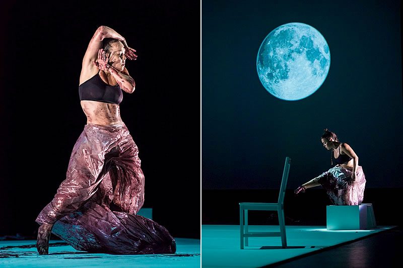 ene2020_rociomolina_caidadelcielo_04