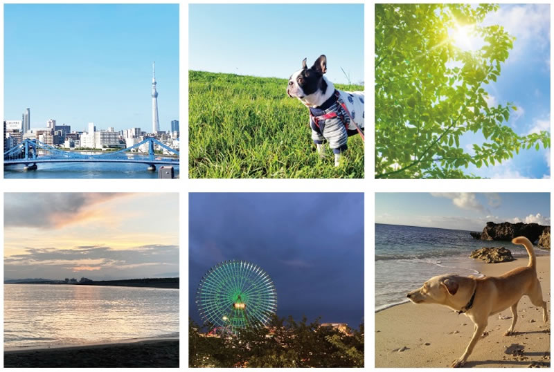 sep2020_camper-campana_01