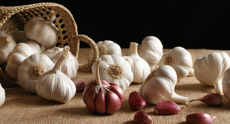 ene2021_spain-ajo-campana_03