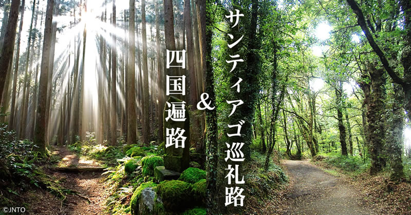 feb2021_concierto-cruce-de-caminos_caminos