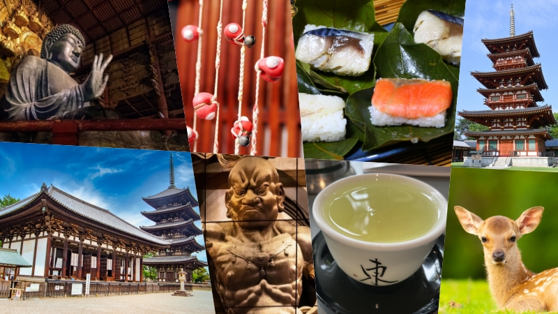 feb2023_jetro-nara_02