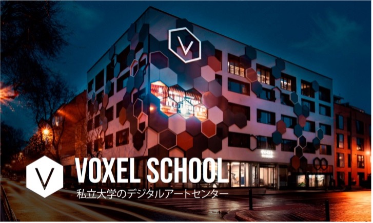 voxelschool