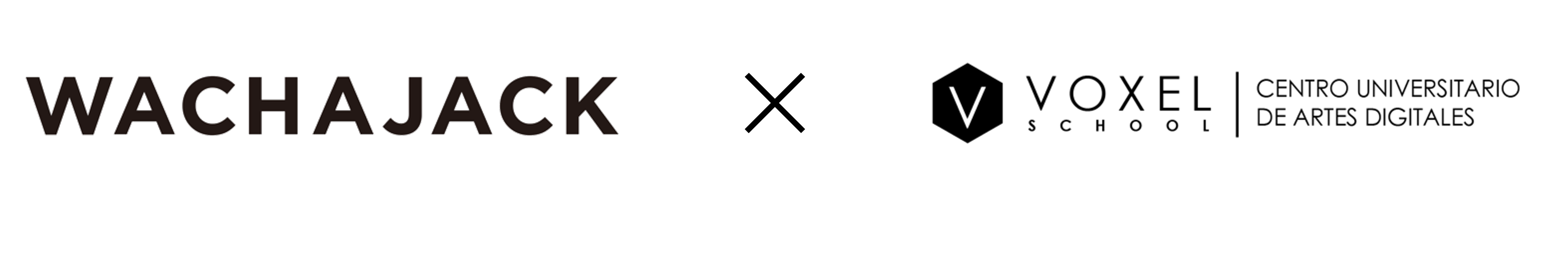 wachajackvoxel