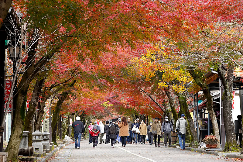 ene2026_gifu_kegon-ji-temple