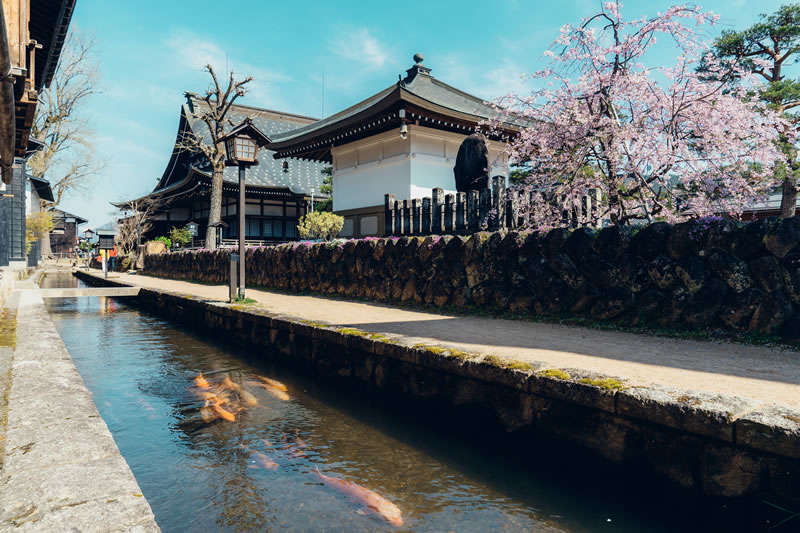 ene2026_gifu_town-of-white-walled-storehouses